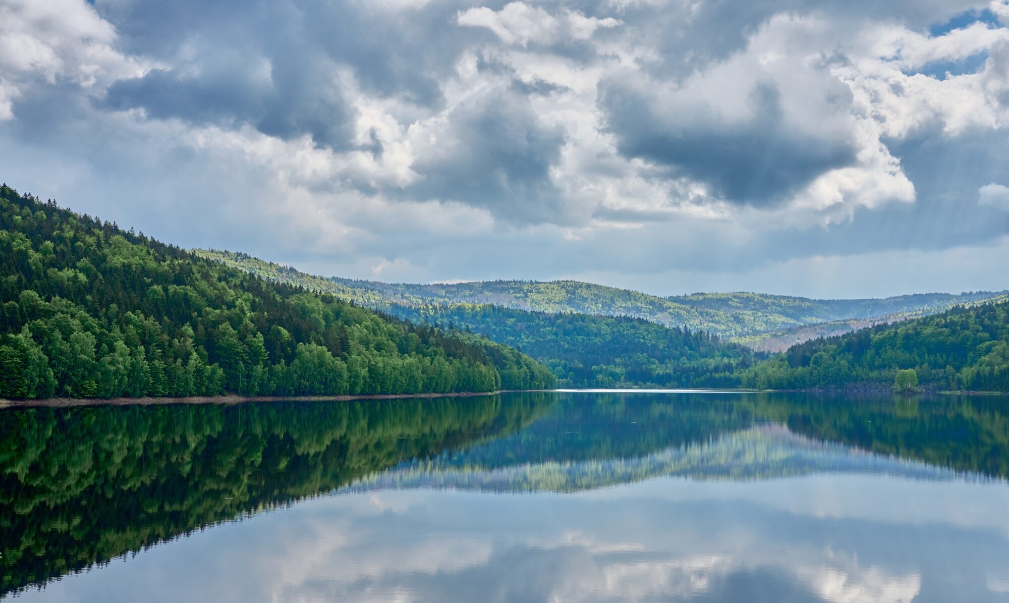 Landscape,At,The,Drinking,Water,Dam,Of,Frauenau,In,The Naturbilde av en innsjø